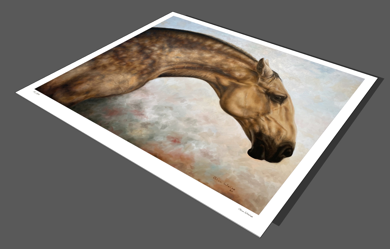 AJW Stretched Equus Caballus Paper Print Perspective